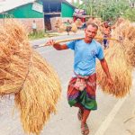 ধান-চাল সংগ্রহ: কম দামে চায় সরকার, রাজি নন কৃষক-মিলার