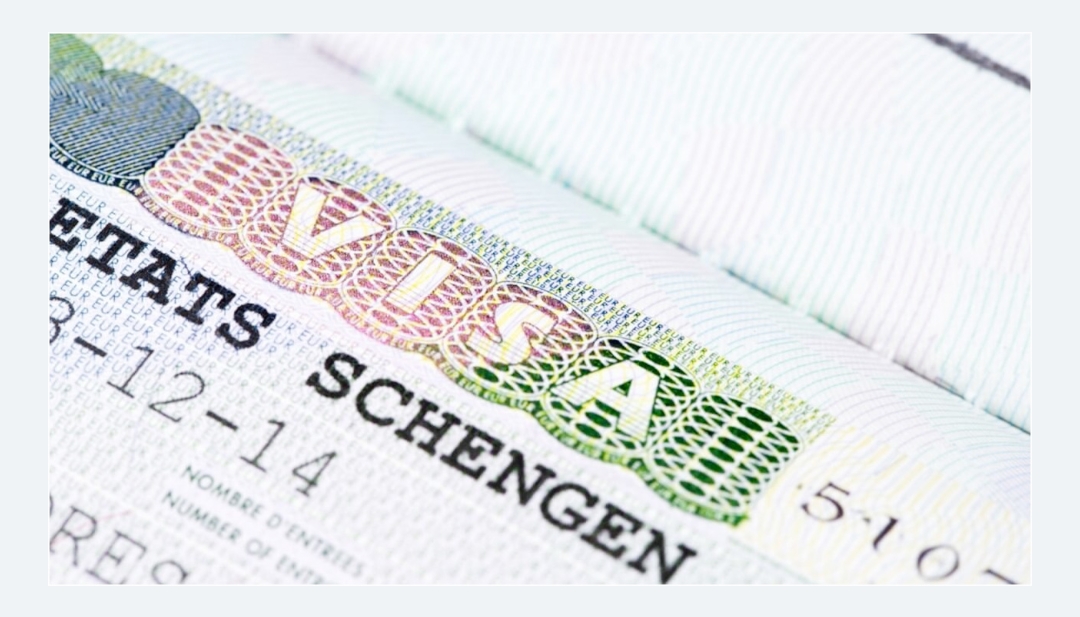 ভিসা প্রতারণার অভিযোগে ইতালিতে ২ বাংলাদেশি আটক