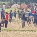ব্রাহ্মণবাড়িয়া যুবদলের দুপক্ষের সংঘর্ষে আহত ১০, ৩০ বাড়ি ভাঙচুর