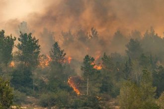 দাবানলে পুড়ছে ইসরাইল, নেতানিয়াহুর জরুরি বৈঠক