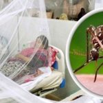 সিলেটে ডেঙ্গুর পুনরাবির্ভাব, হাসপাতালগুলোতে বাড়ছে রোগীর ভিড়