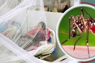 সিলেটে ডেঙ্গুর পুনরাবির্ভাব, হাসপাতালগুলোতে বাড়ছে রোগীর ভিড়